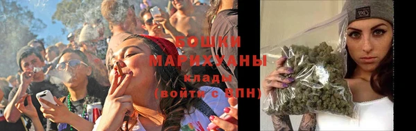 винт Верея