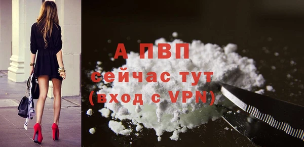 винт Верея