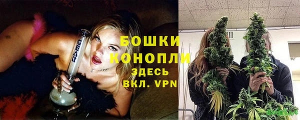 винт Верея