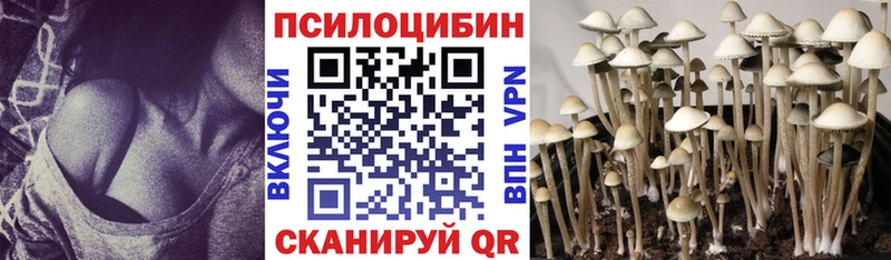 Купить закладки  Конаково  Псилоцибиновые грибы ЛСД 